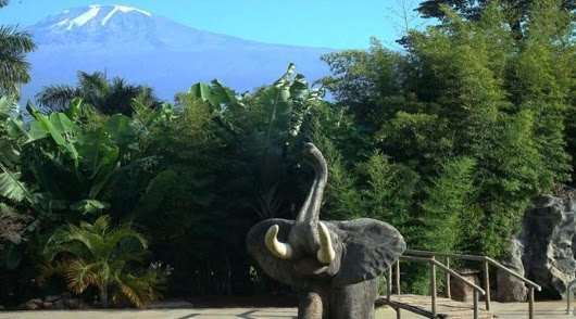 Kilemakyaro Mountain Lodge Моши Екстериор снимка